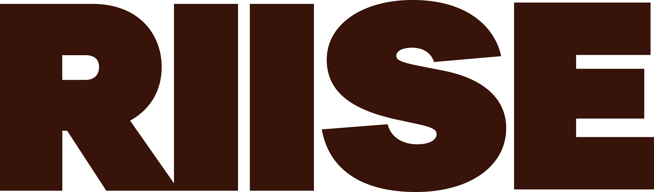 RIISE Logo